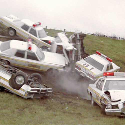 A Beautiful Lotus : Crowhurst and a Beautiful Lotus